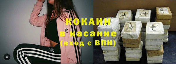 гашик Алексеевка