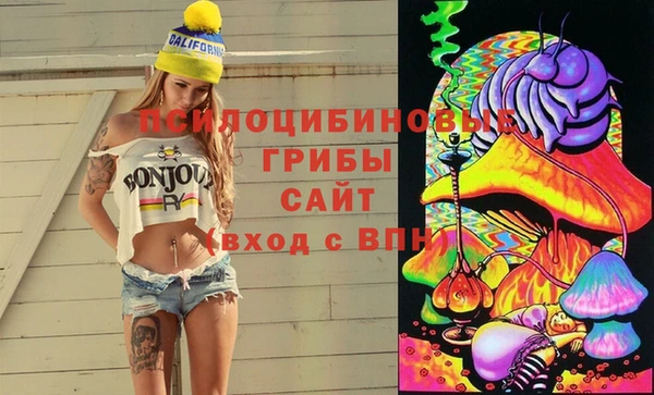 крисы Алексин