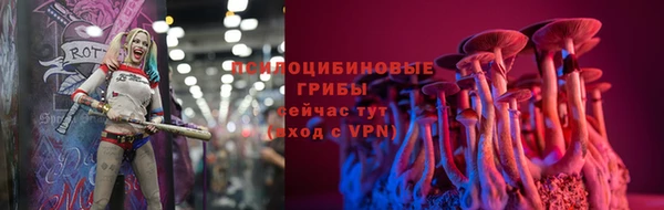 крисы Алексин