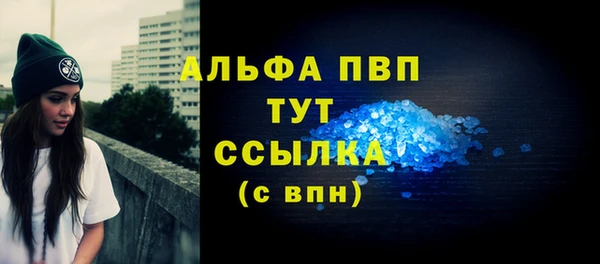 гашик Алексеевка
