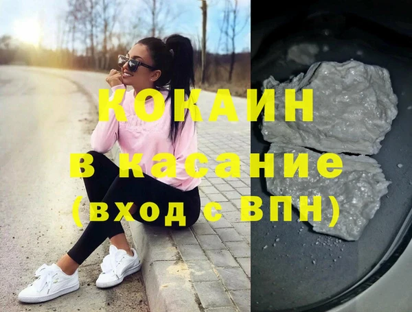 крисы Алексин