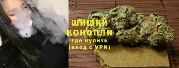 гашик Алексеевка
