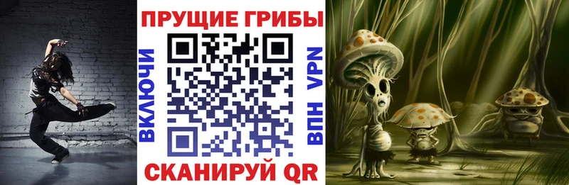 Галлюциногенные грибы мицелий  Тверь 